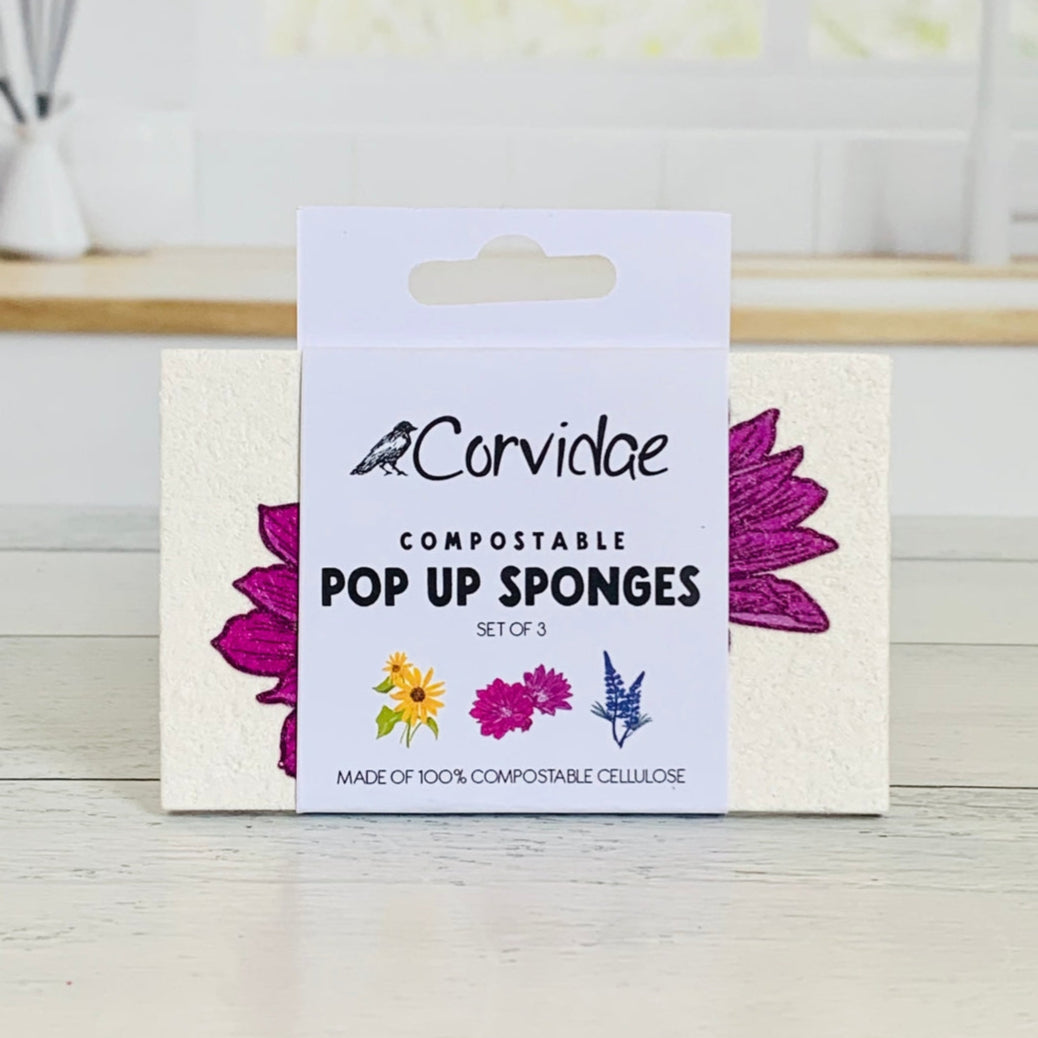 Wildflowers Compostable Pop Up Sponge Set