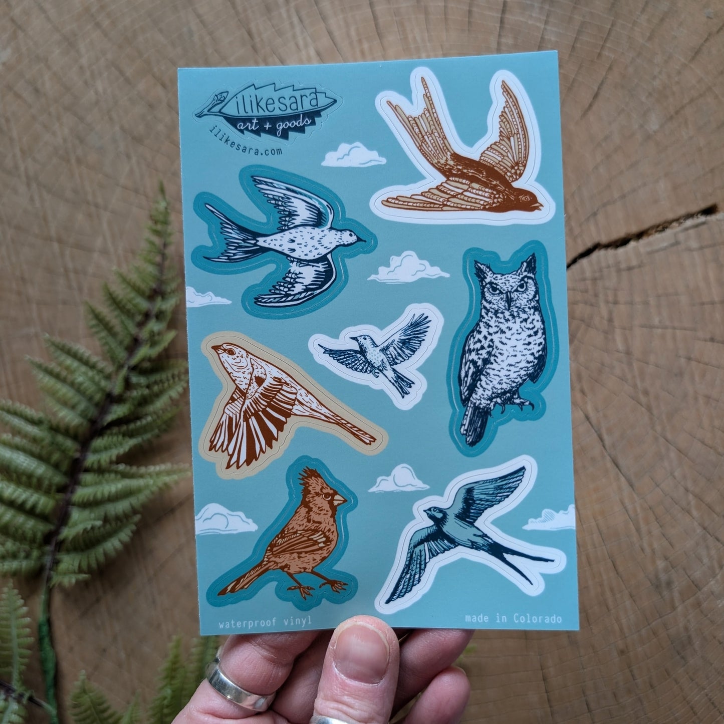Birds Sticker Sheet