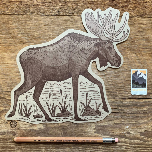 Moose Postcard