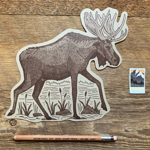 Moose Postcard