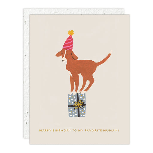 Dog Favorite Human Birthday Card