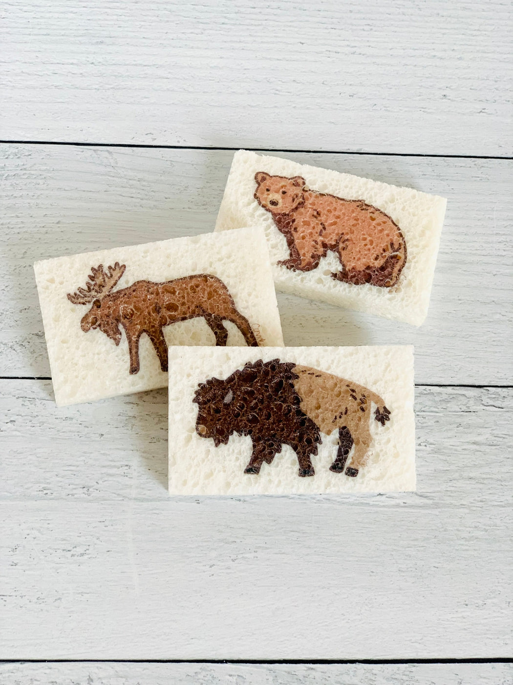 Bear Moose Bison Compostable Pop Up Sponge Set