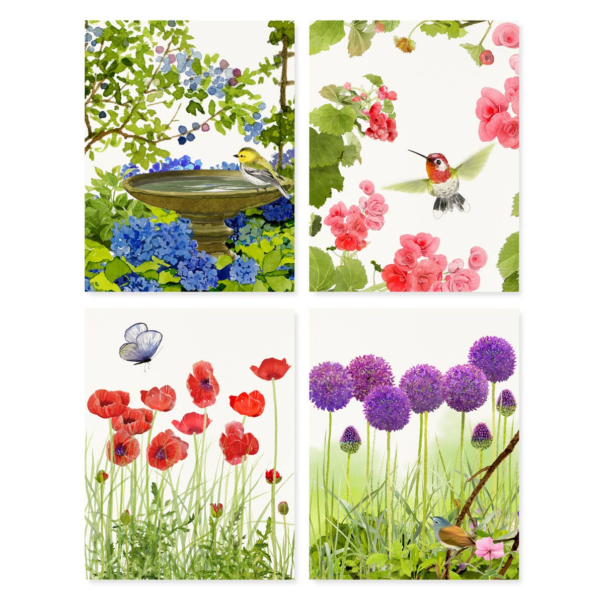 Dazzling Blooms Box Set of Cards