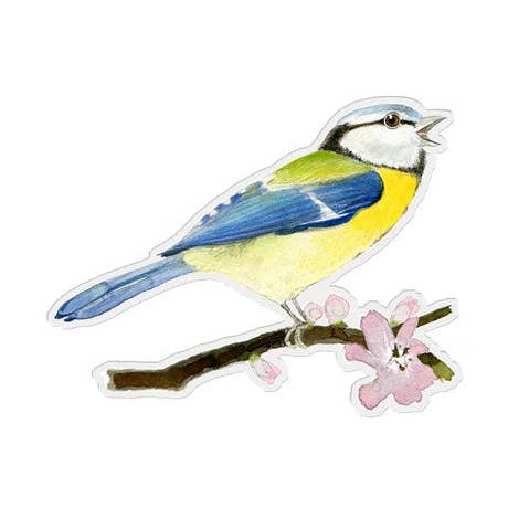 Blue Tit Songbird Sticker