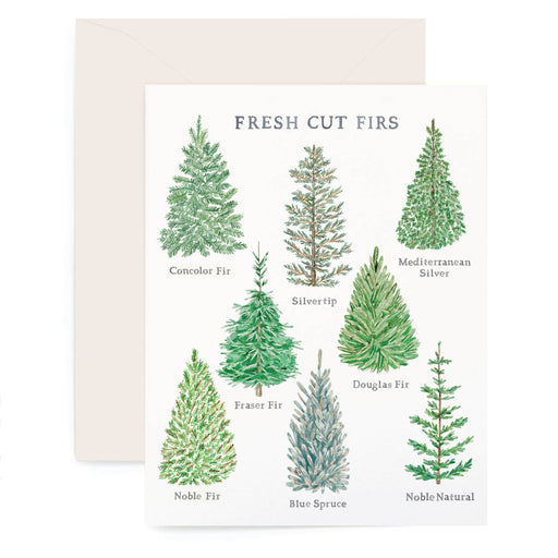 Festive Fresh Cut Firs Holiday Card