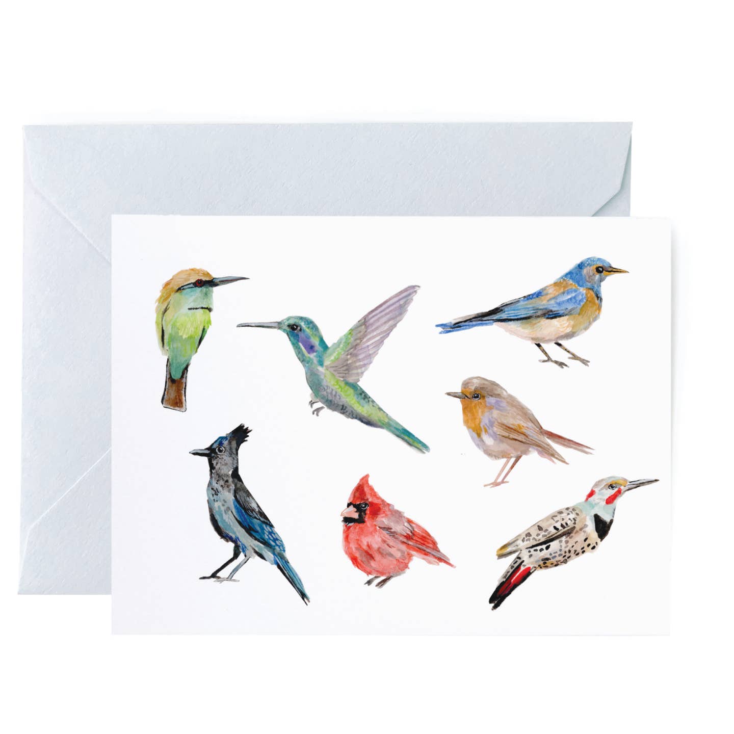Various Birds Blank Card