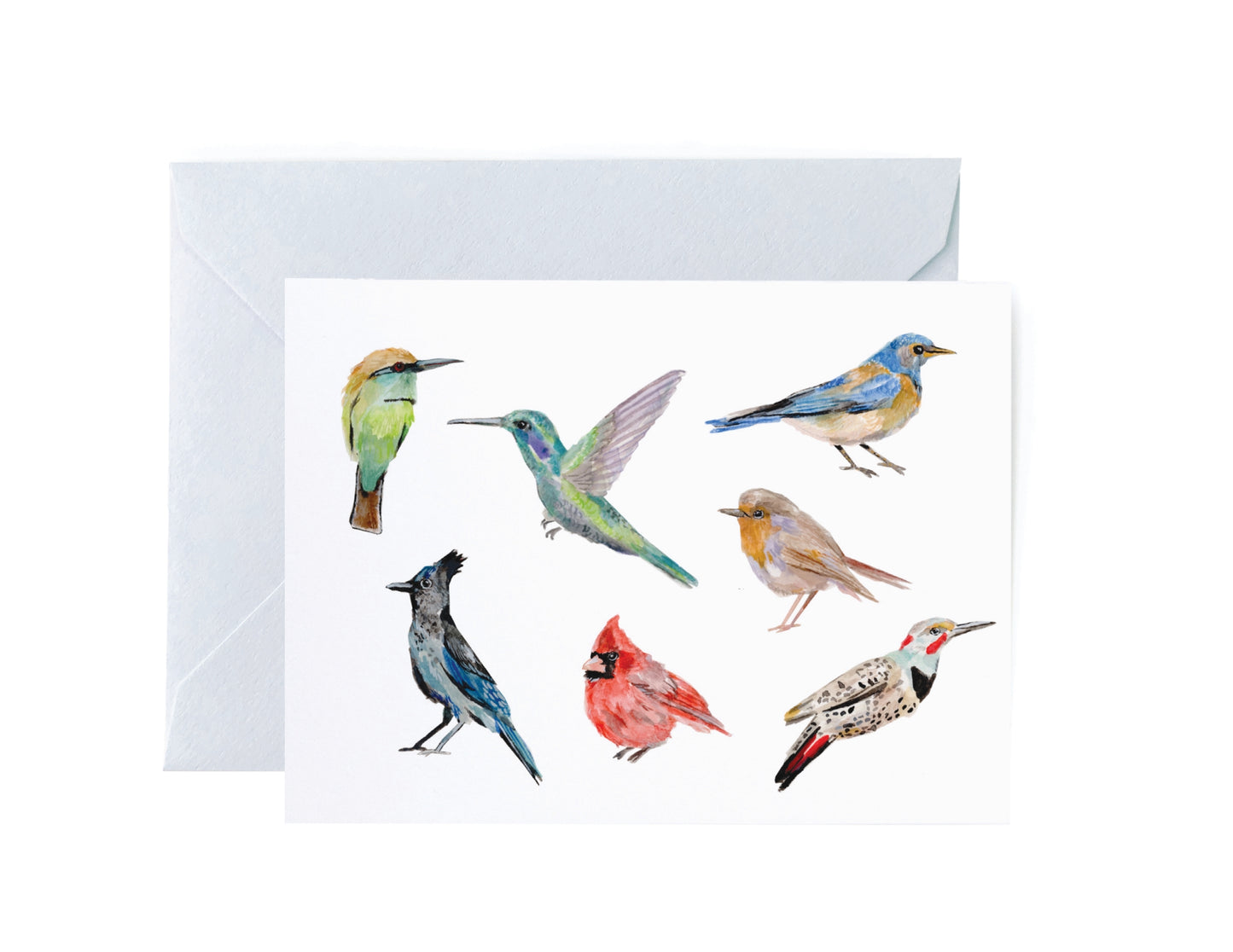 Bird Variety Card