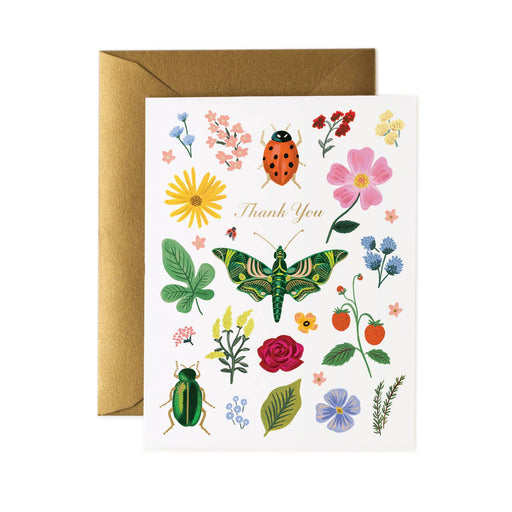 Curio Thank You Card