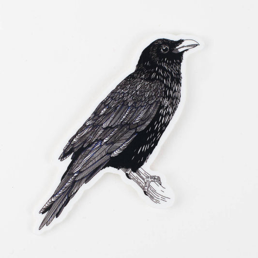 Raven Black Bird Vinyl Sticker