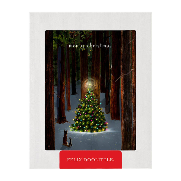 Tree Lighting Box Set of Cards