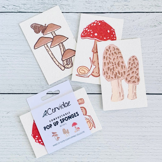 Mushroom Compostable Pop Up Sponge Set