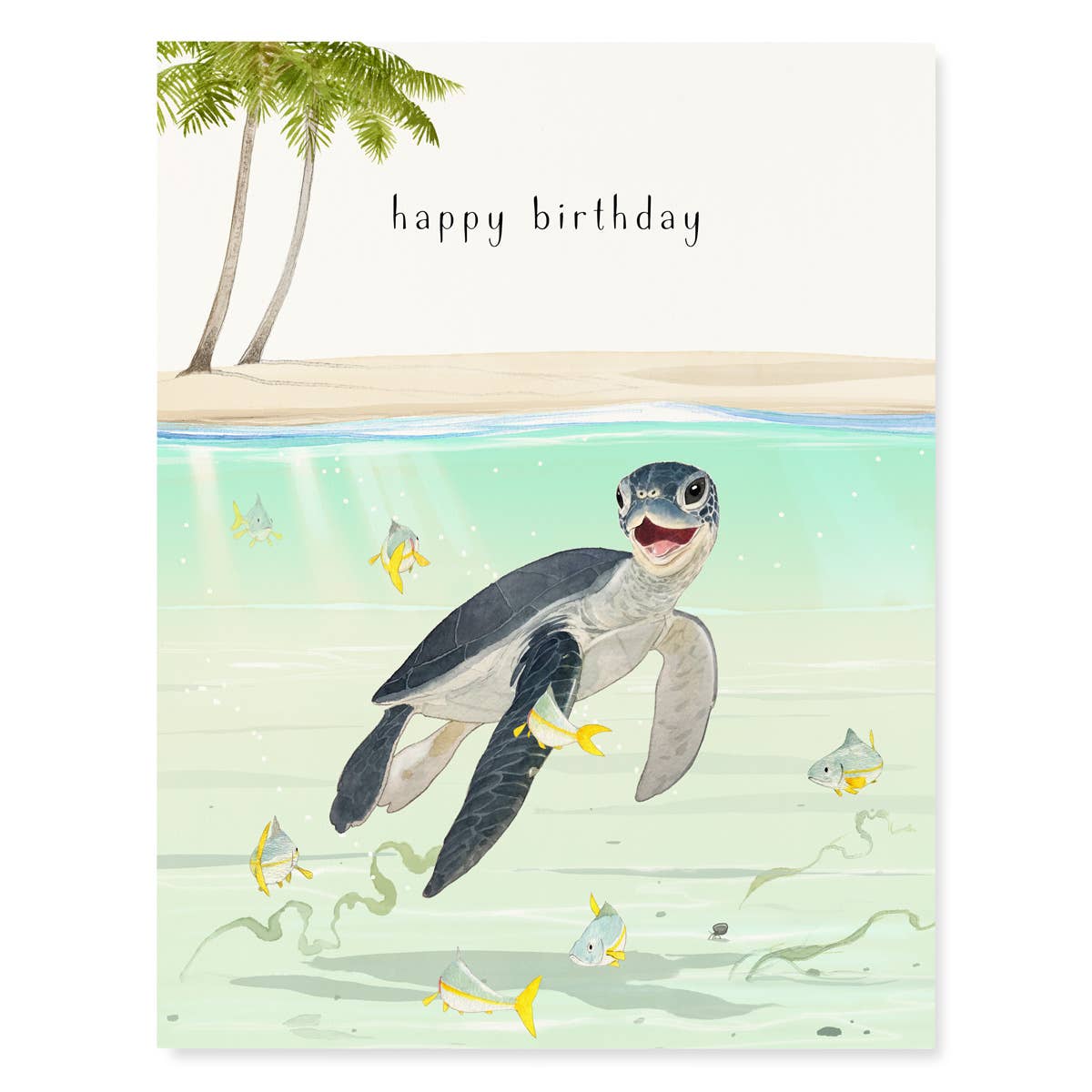 Baby Sea Turtle Birthday Card