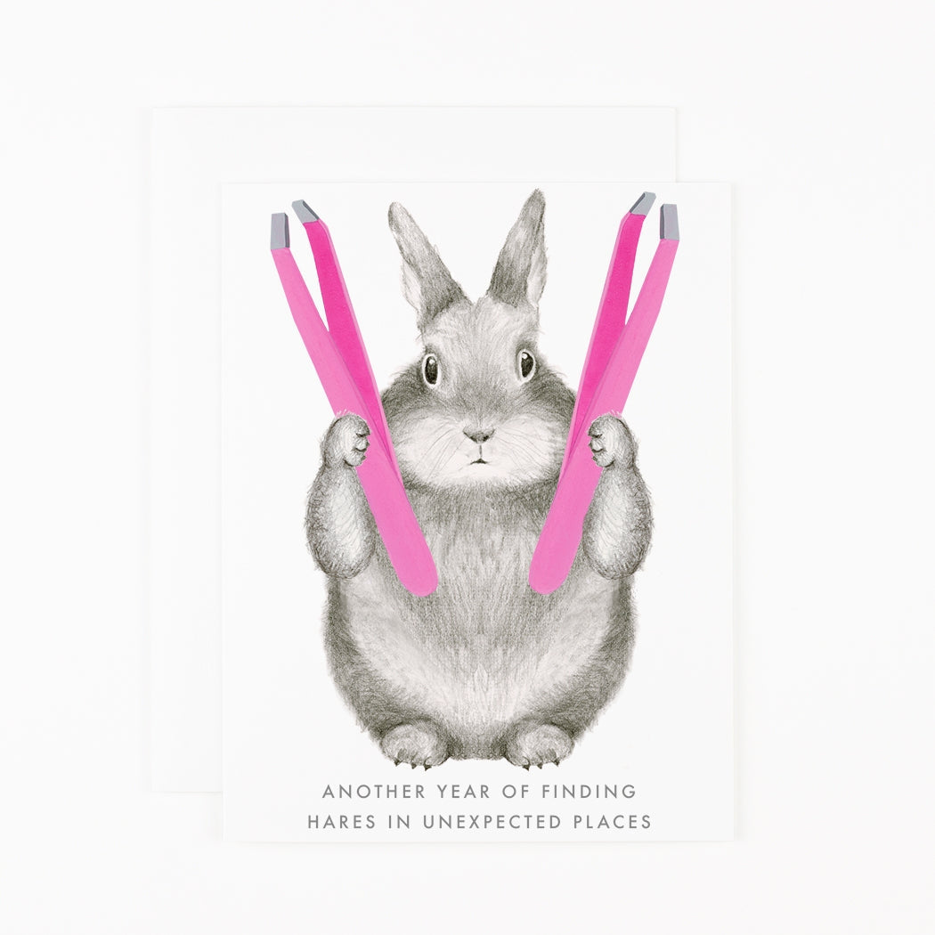 Hares in Unexpected Places Birthday Card