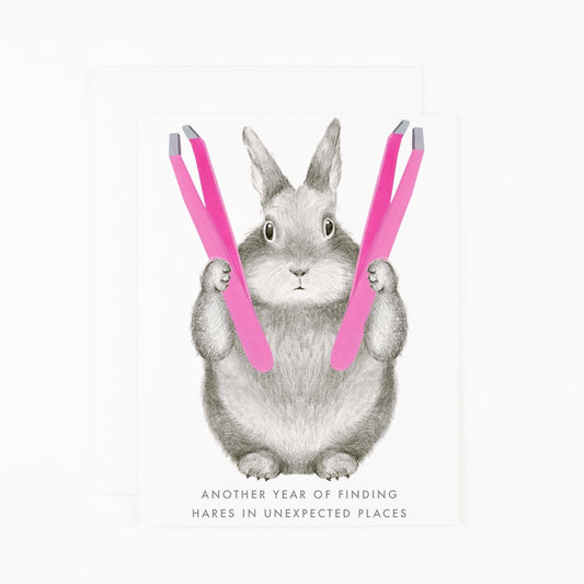 Hares in Unexpected Places Birthday Card