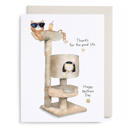 Cat Condo Mothers Day Card