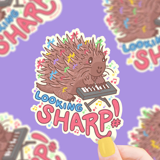 Looking Sharp Hedgehog Vinyl Sticker