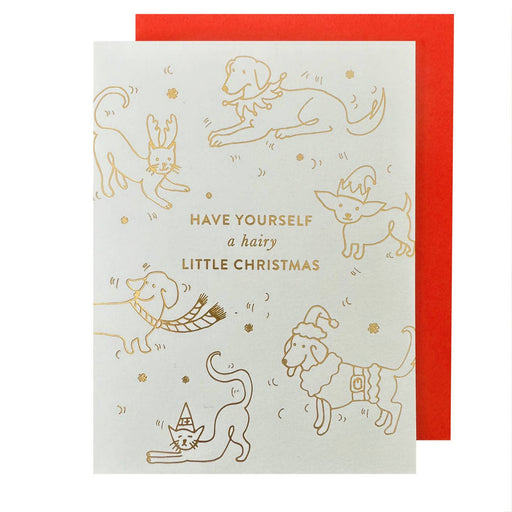 Dogs Have Yourself a Hairy Little Christmas Card