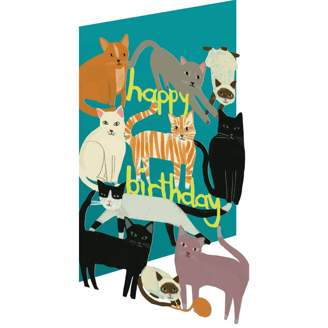 Playful Cats Birthday Card