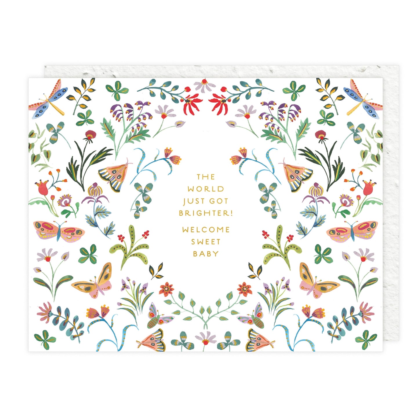 Butterfly Garden World Got Brighter Baby Card