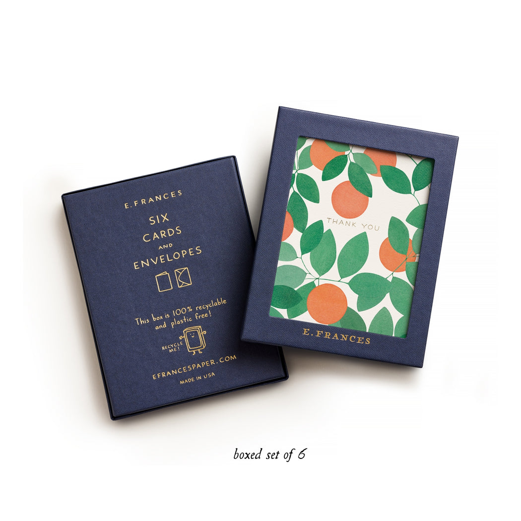 Orange Grove Thank You Card