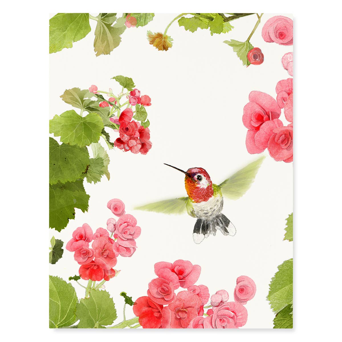 Annas Hummingbird Blank Card