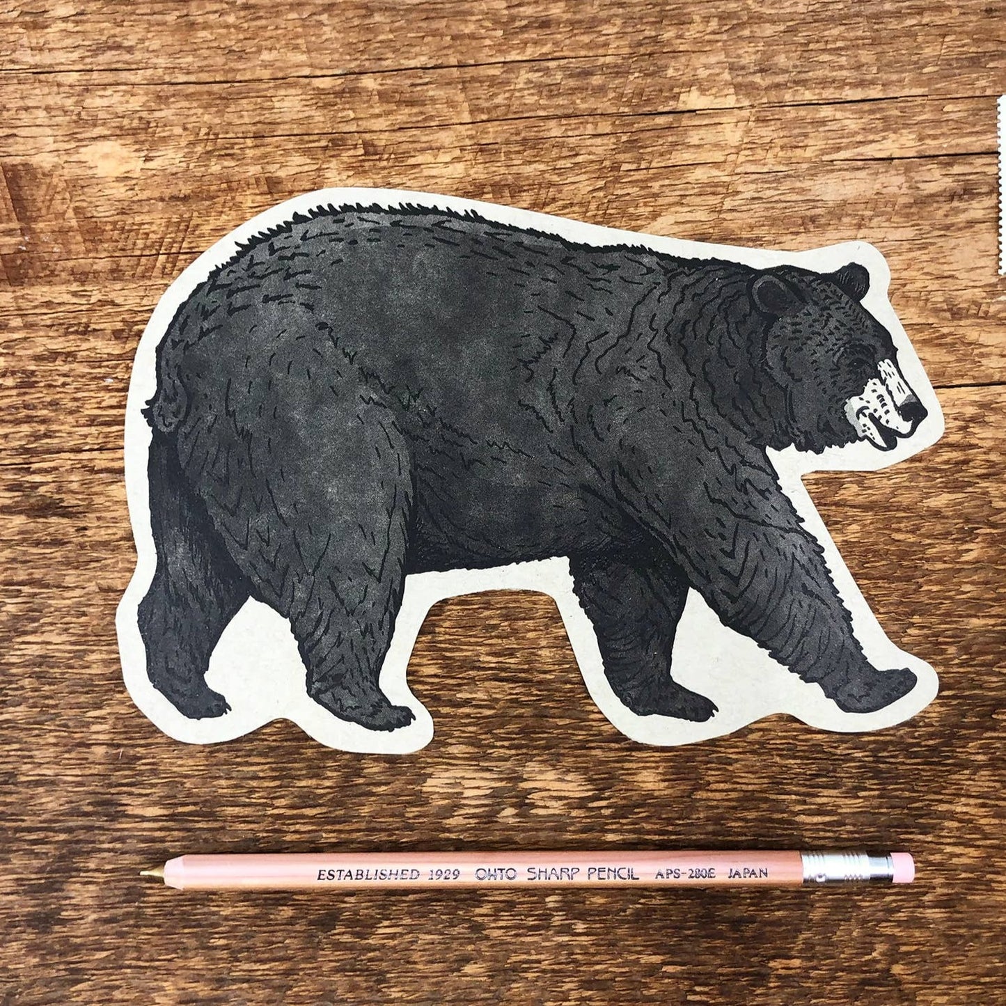 Black Bear Postcard