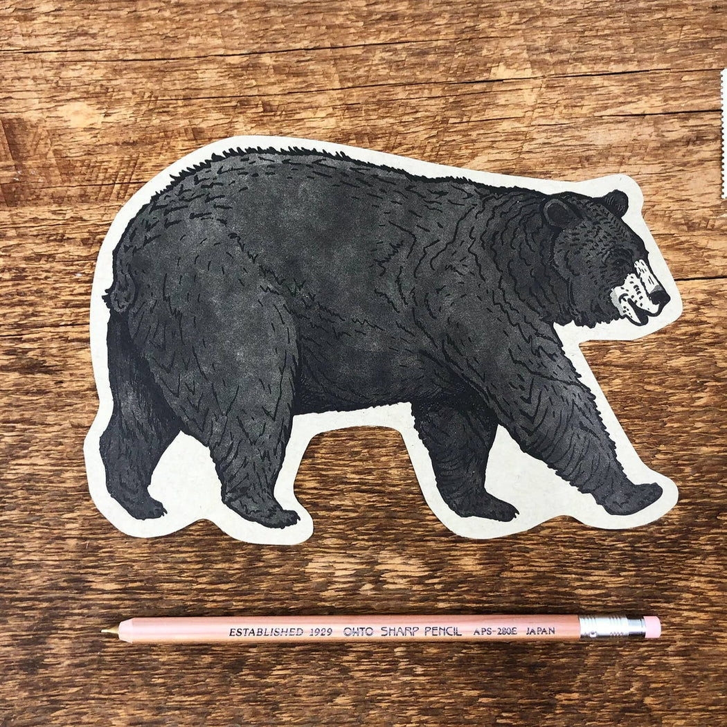 Black Bear Postcard