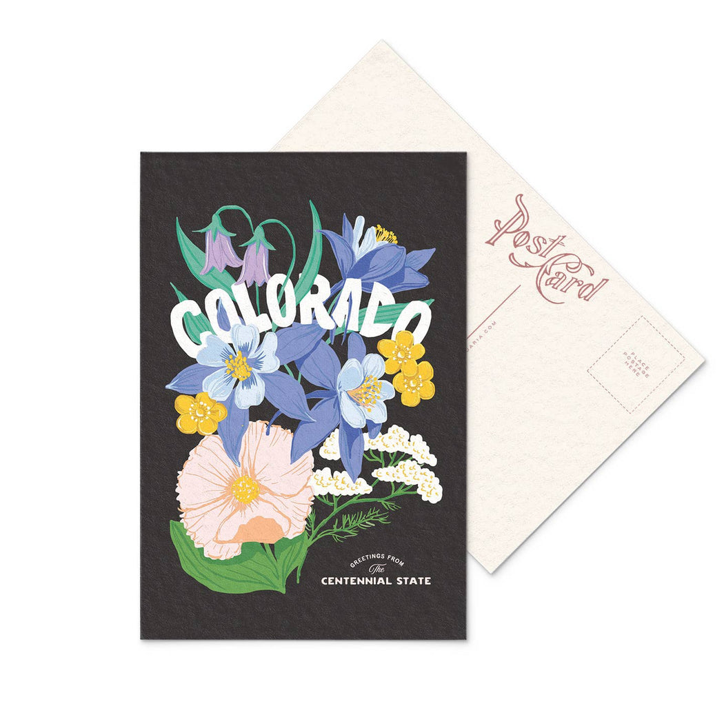 Colorado State Wildflower Postcard