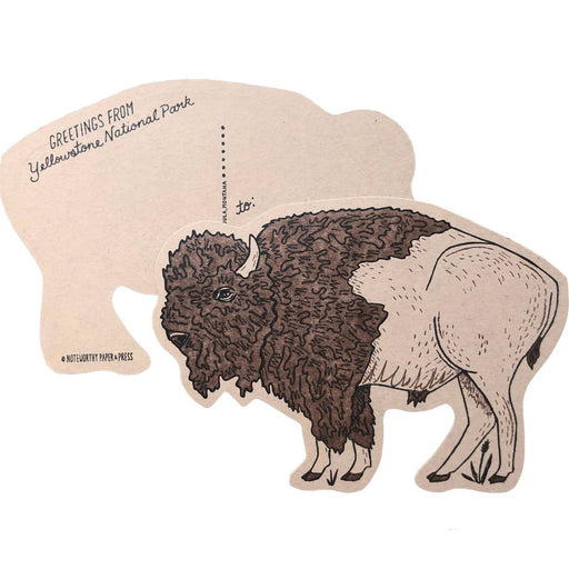 Bison Diecut Postcard