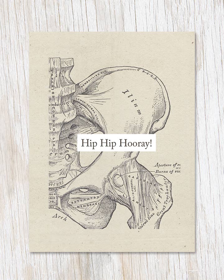 Hip Hip Hooray Anatomy Card