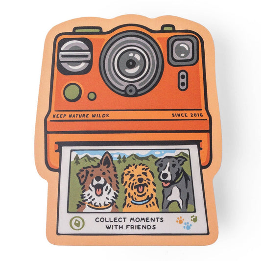 Collect Moments with Friends Sticker