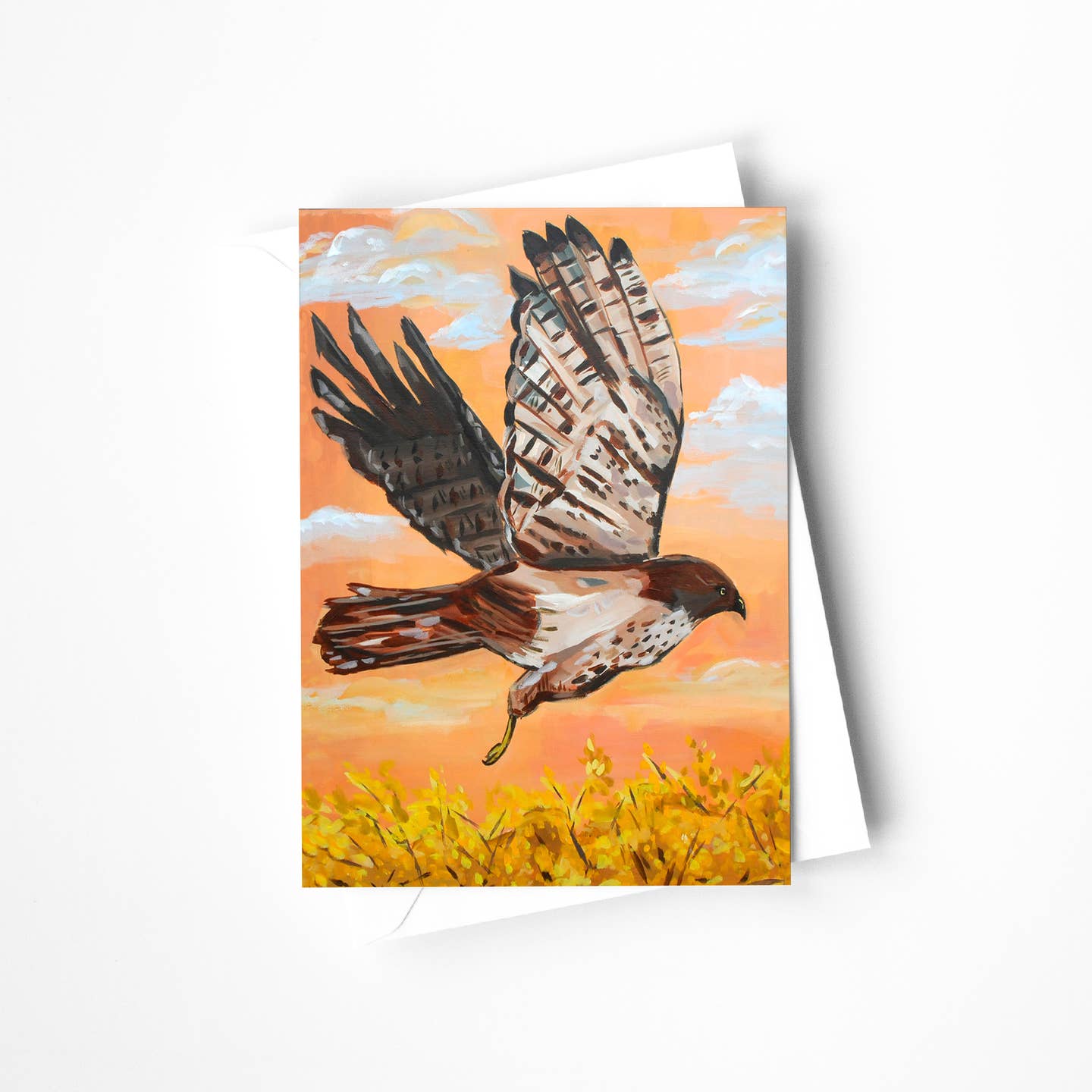 Red Tailed Hawk Bird Blank Card