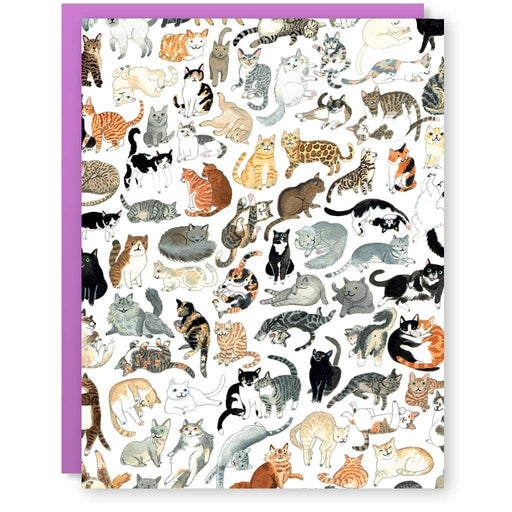 Cat Clutter Blank Card