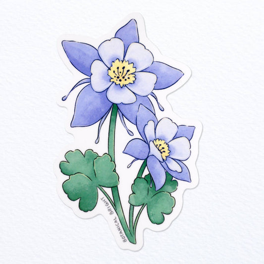 Colorado Blue Columbine Vinyl Sticker