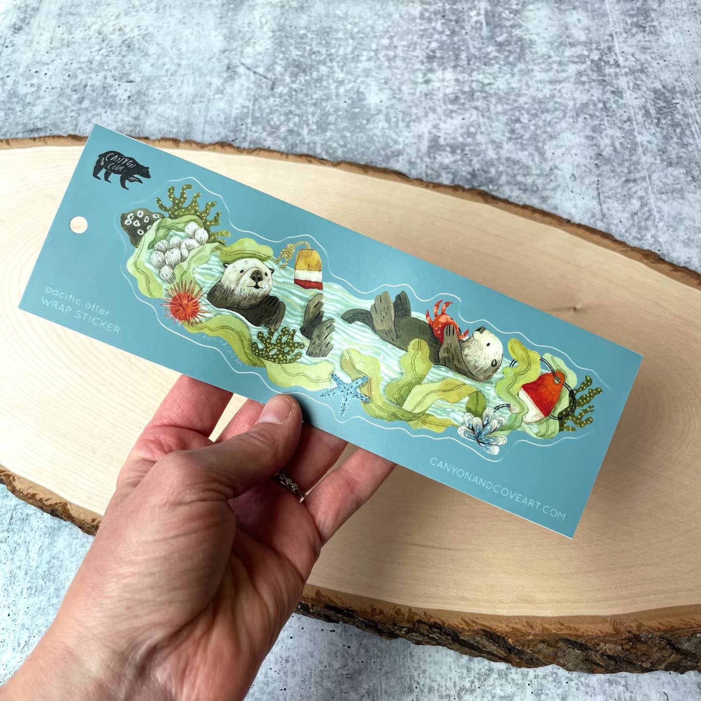 Tide Pool Wrap Sticker