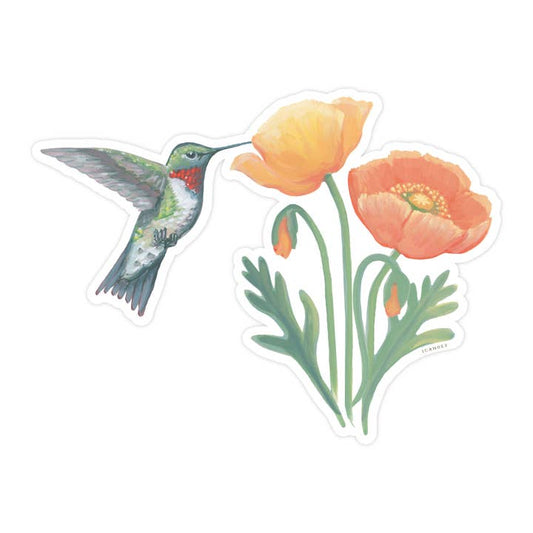 Hummingbird Poppies Sticker