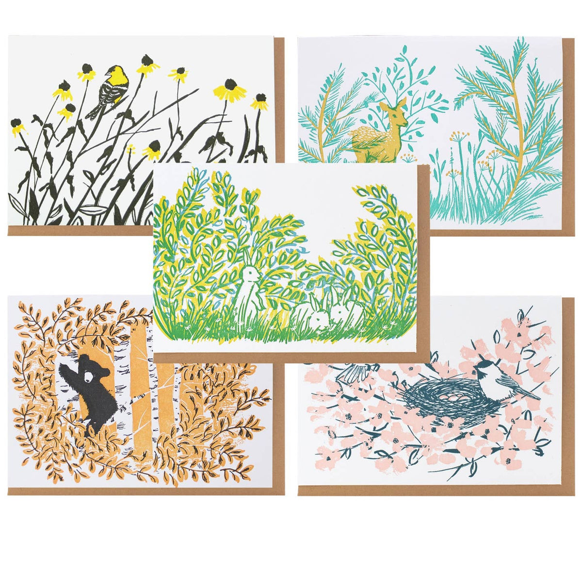 Garden Visitors Box Set Cards