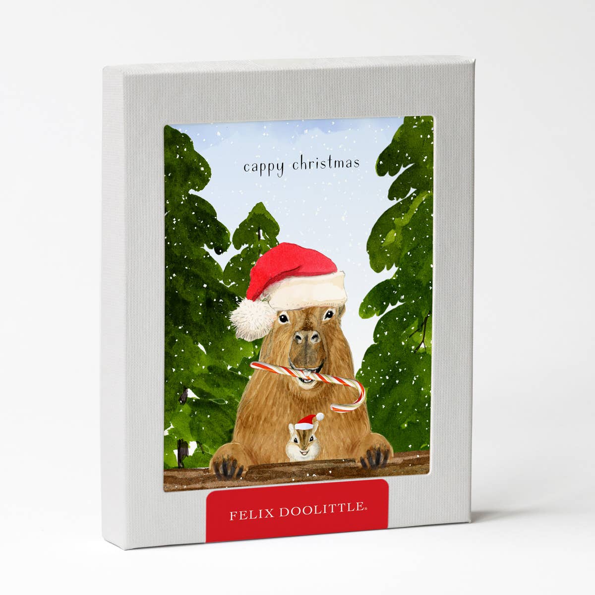 Cappy Christmas Box Set of Cards