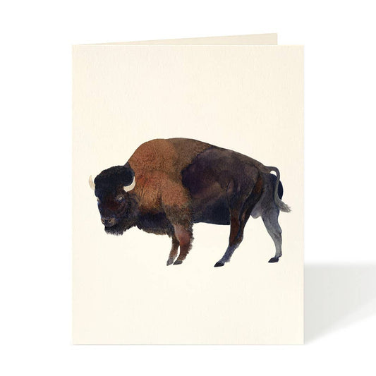 Buffalo Blank Card