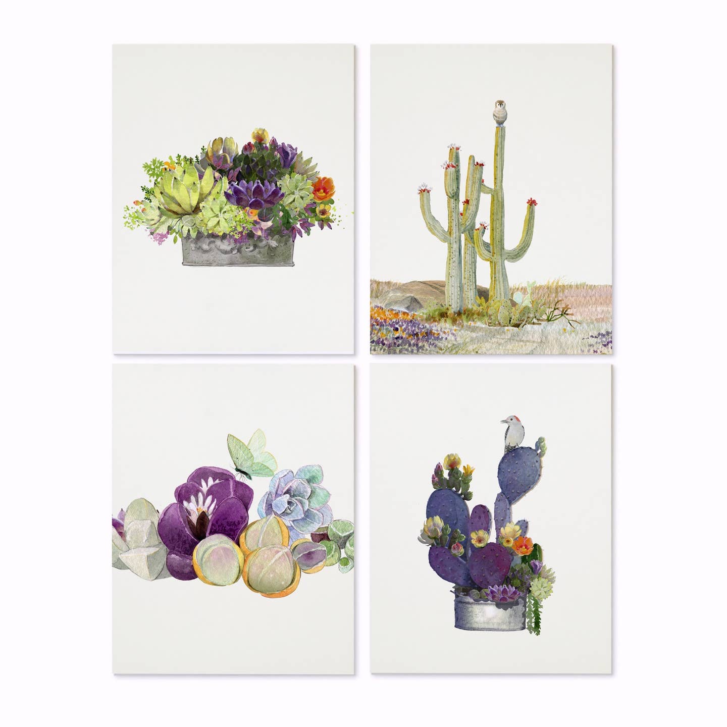Blooming Desert Box Set of Cards