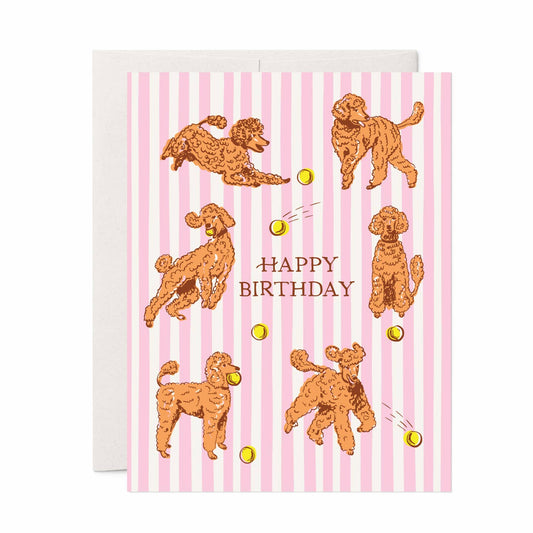 Poodles Birthday Card