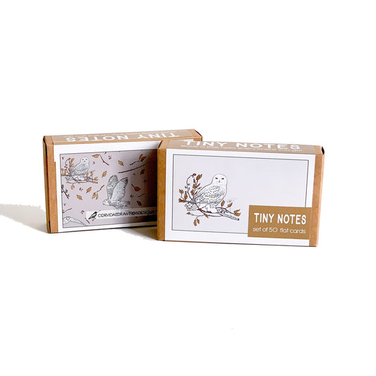 Snowy Owl Tiny Notes Cards