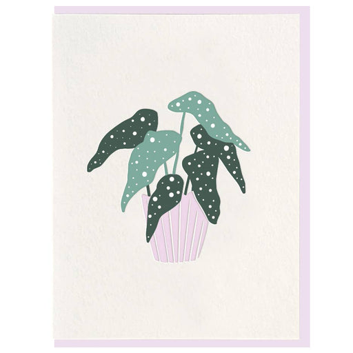 Pastel Blank Plant Note Card