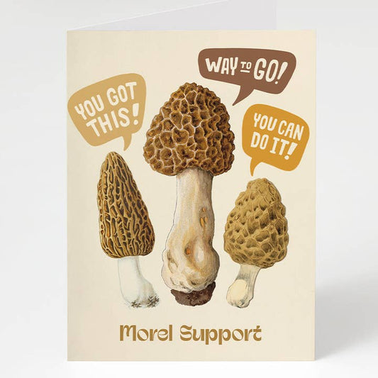 Morel Support Card