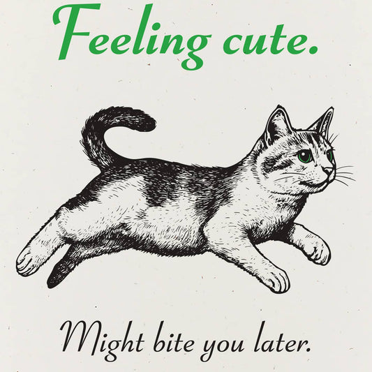 Feeling Cute Bite Kitten Card