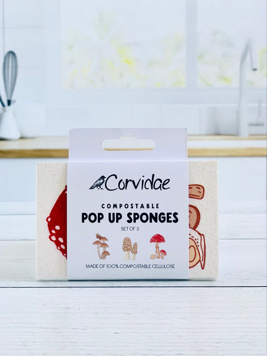 Mushroom Compostable Pop Up Sponge Set