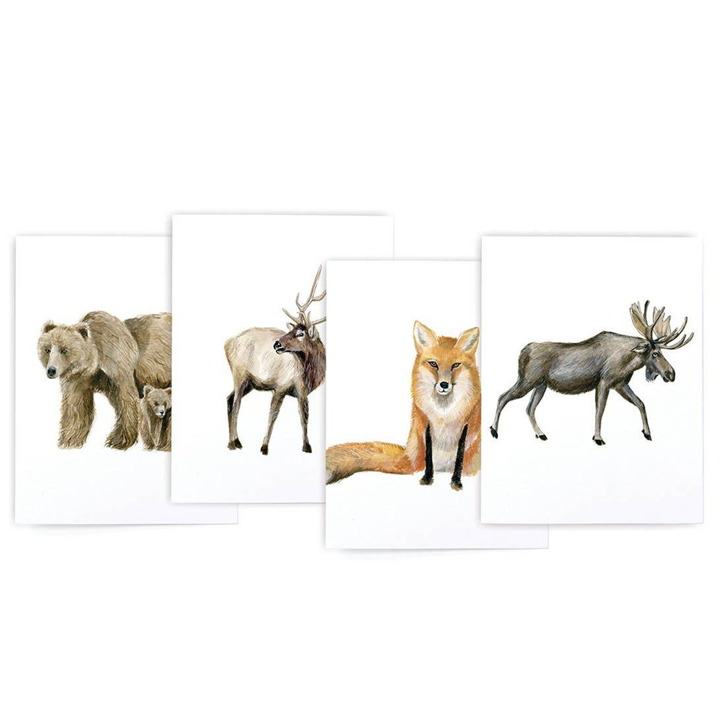 Mountain Animal Variety Box Set of Cards