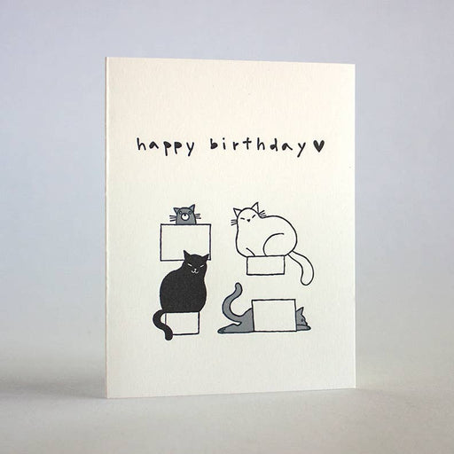Birthday Cats In Boxes Black White Card