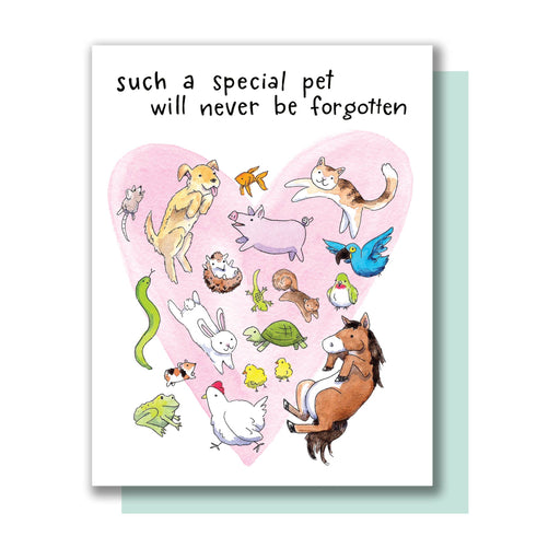 Such a Special Pet Never Forgotten Sympathy Card