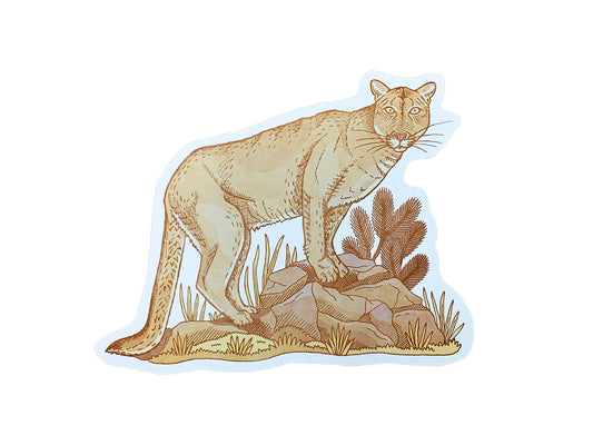 Mountain Lion Postcard Card